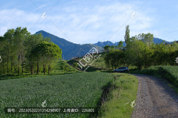 美麗山村