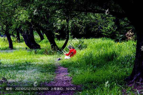 松花江畔景如畫