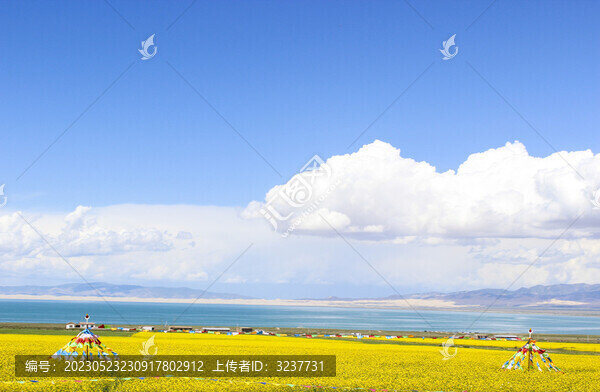 青海湖夏日風(fēng)景