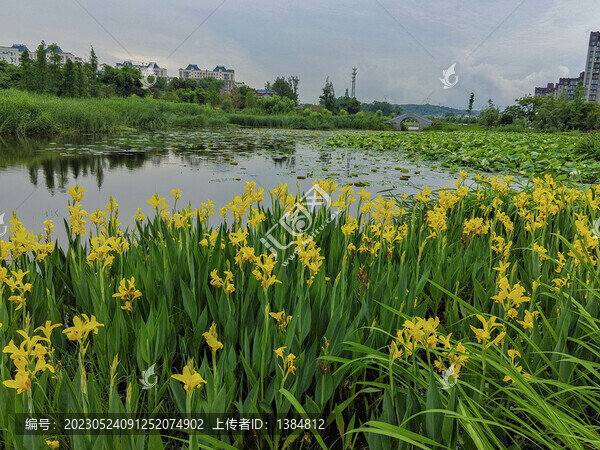 濕地公園