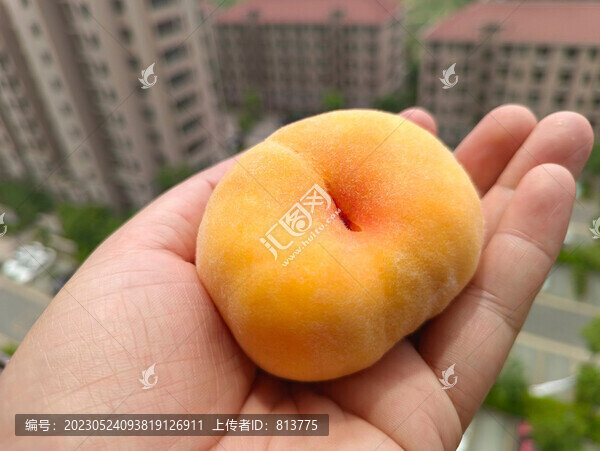 手里的蟠桃
