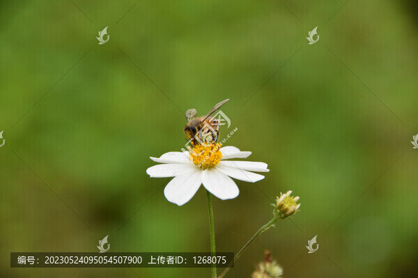 廣西首府南寧