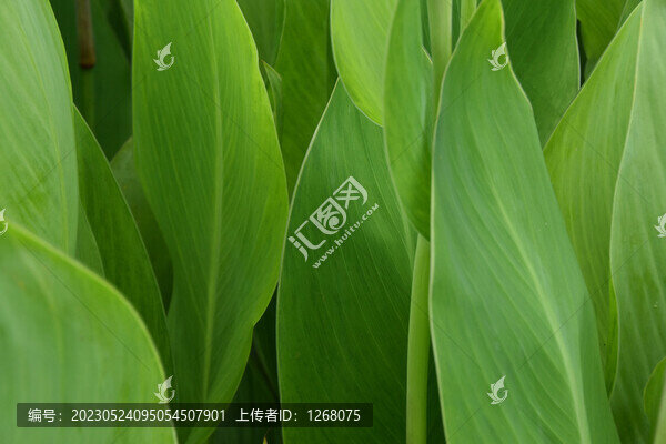 廣西首府南寧