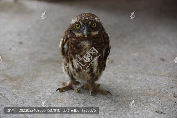 廣西首府南寧