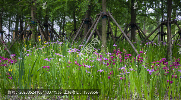 鮮花樹林背景