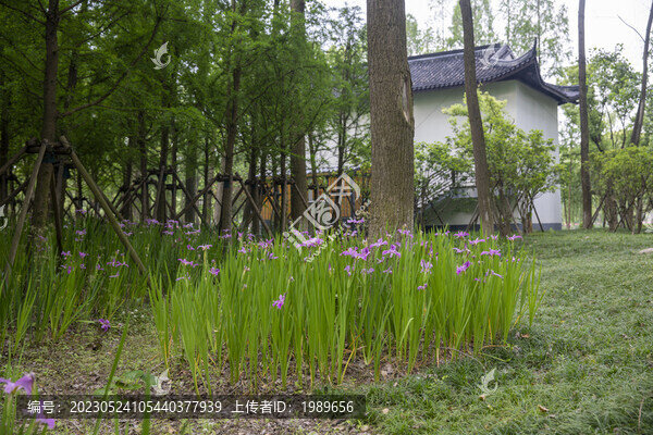 鮮花樹林背景
