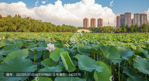 藍(lán)天白云