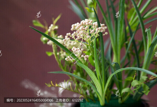 裝飾小插花