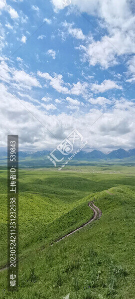 高山草原