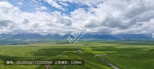 高山草原