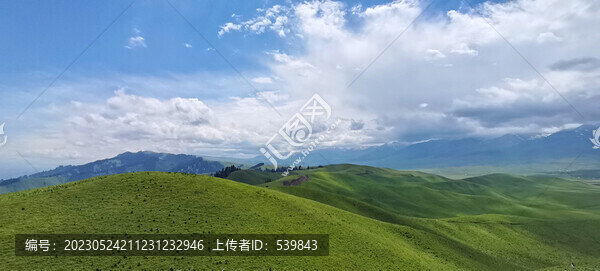 高山草原