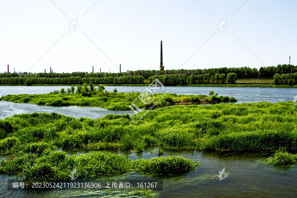 松花江的夏天