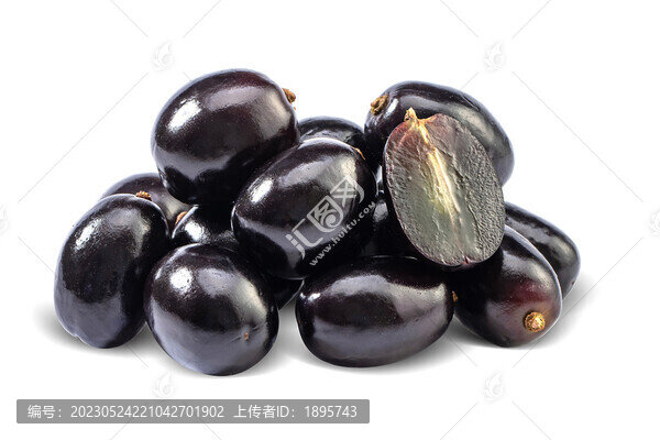樹(shù)葡萄嘉寶果