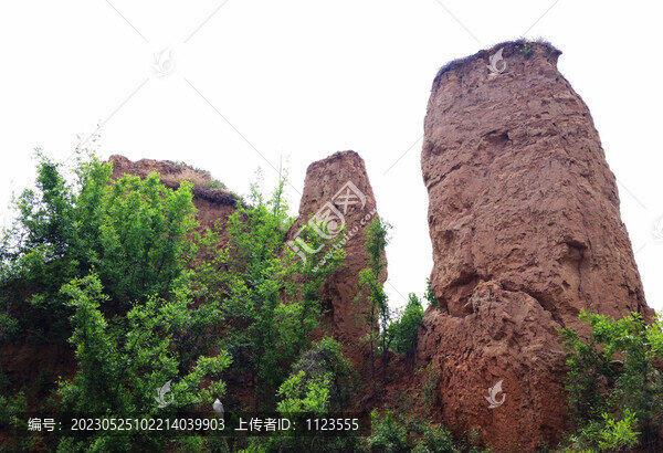 黃土崖