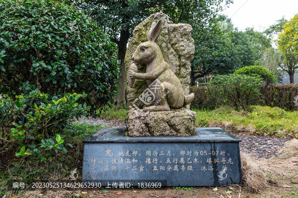 十二生肖
