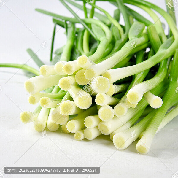 新鮮香蔥