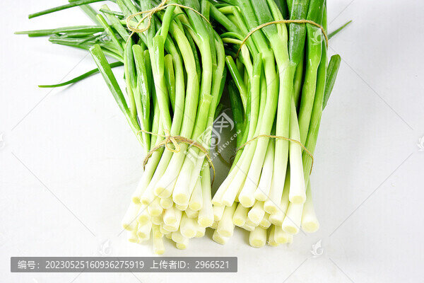 新鮮香蔥