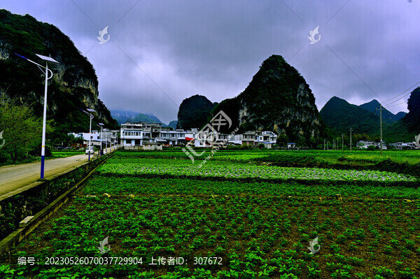 廣西舊州風(fēng)光