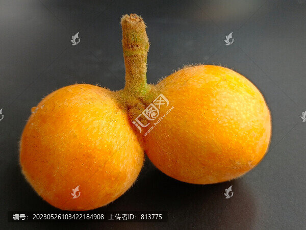 靜物兩顆黃枇杷