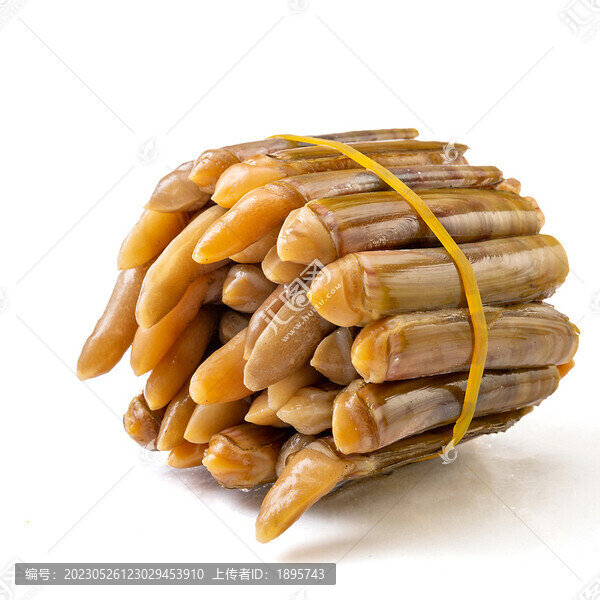 蟶子王海鮮食材
