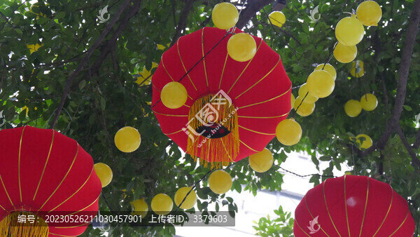 燈籠迎新年