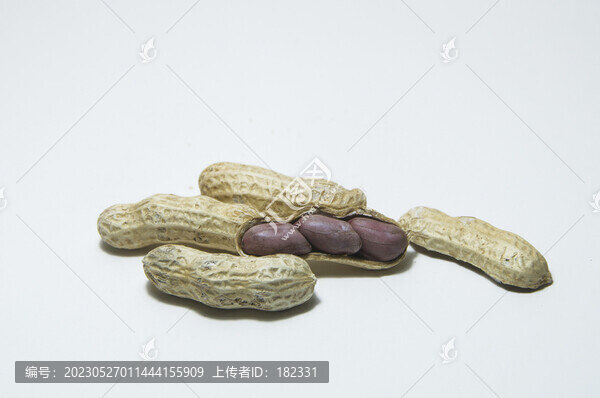 龍巖花生