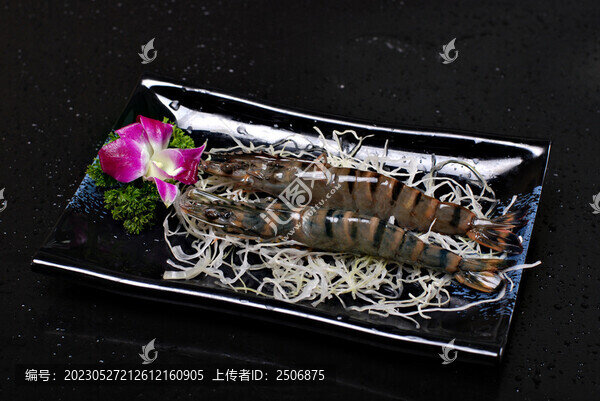深海大明蝦