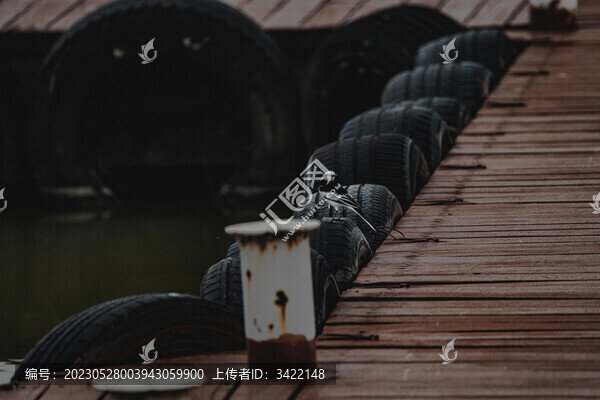 碼頭的小鳥(niǎo)