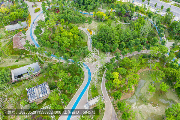 航拍城市公園園林綠化植被景觀