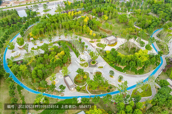 航拍城市公園園林綠化植被景觀