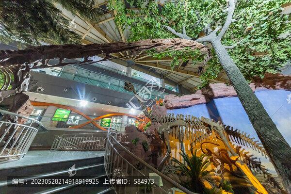 河南自然博物館恐龍化石標(biāo)本