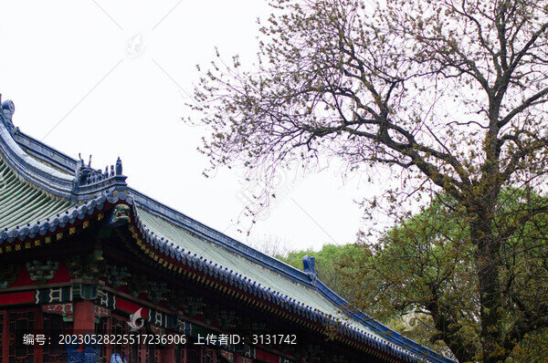 屋檐屋角