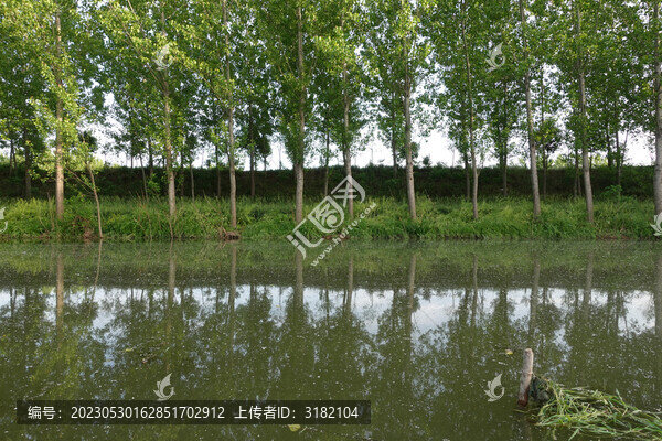 鄉(xiāng)村