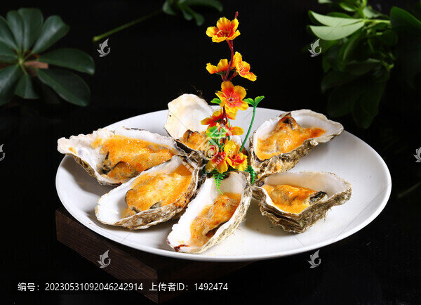 芝士海膽焗生蠔