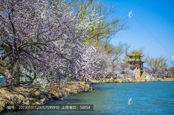 頤和園春色