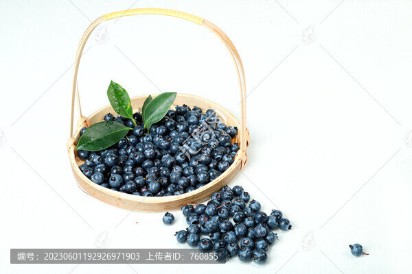 藍(lán)莓