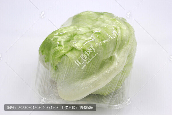 生菜