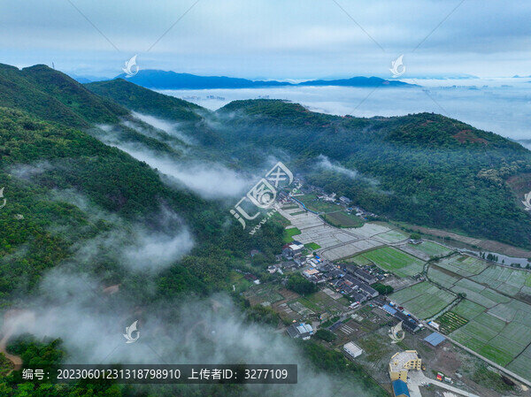 溫州平陽云霧下的山與田園村莊