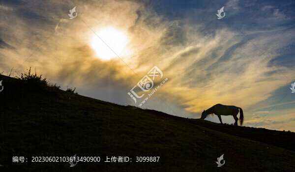 獨(dú)馬