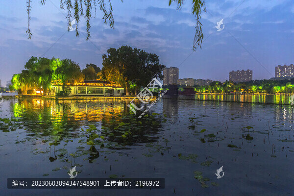 大明湖匯泉島夜景