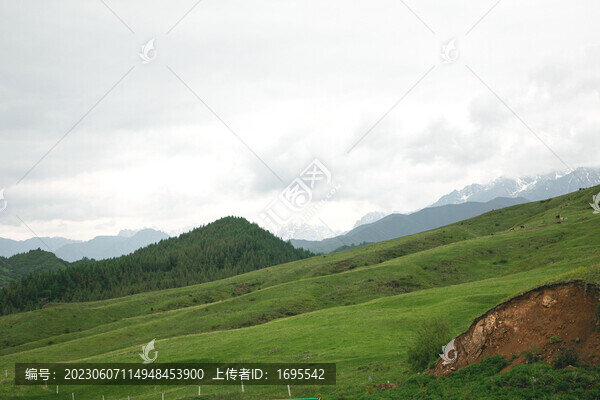 臨夏太子山