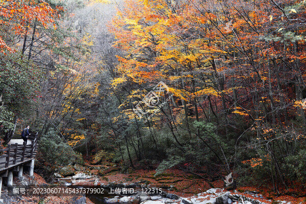光霧山旅游