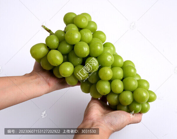 葡萄