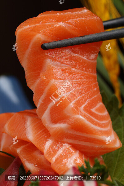 三文魚(yú)