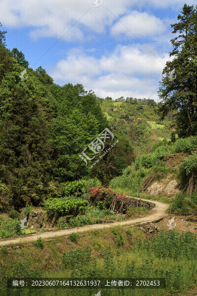 彎彎山路