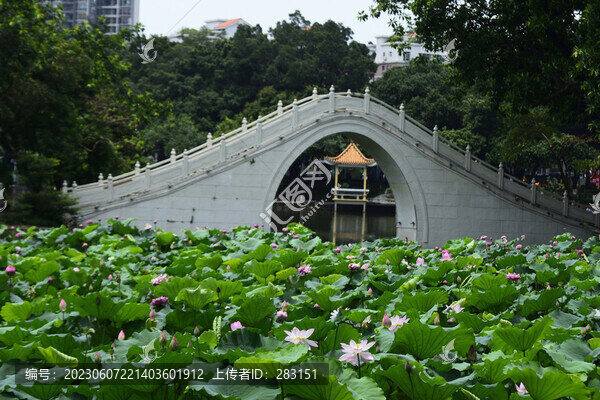 人民公園