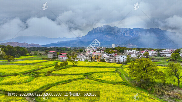 廬山海會(huì)油菜花