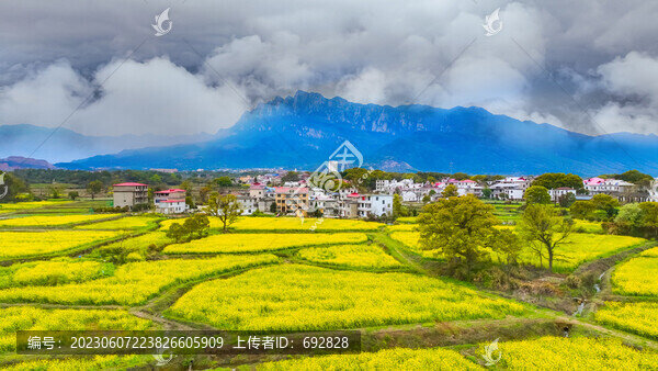 廬山海會(huì)油菜花