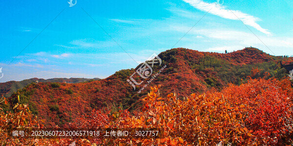 黃山