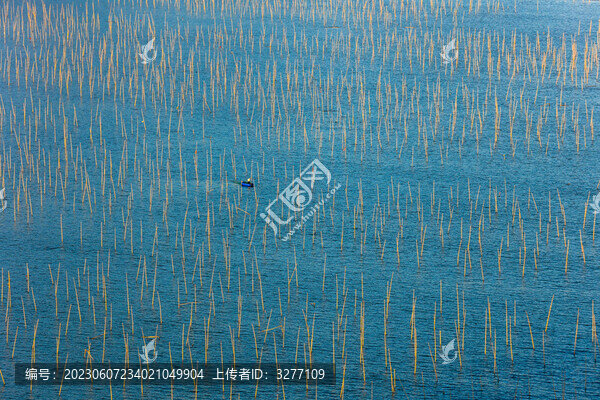 日落下海邊的漁船